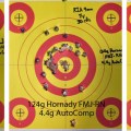 124g Hornady FMJ-RN & 4.4g AutoComp Pistol Test
